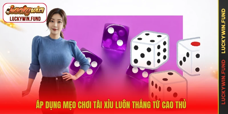 Áp dụng mẹo chơi tài xỉu luôn thắng từ cao thủ