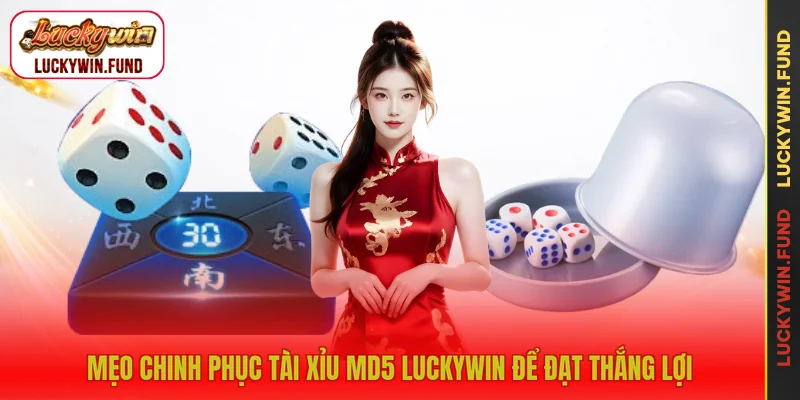 Mẹo chinh phục tài xỉu MD5 LUCKYWIN để đạt thắng lợi